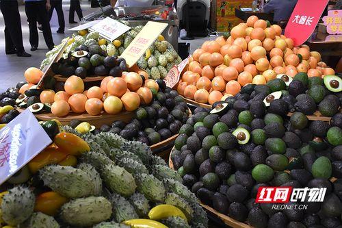 桐乡经贸局吃瓜,吃瓜群众见证发展新篇章