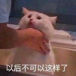 朝阳热门吃瓜群众