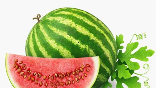 济宁金乡天气吃瓜,吃瓜避暑正当时”